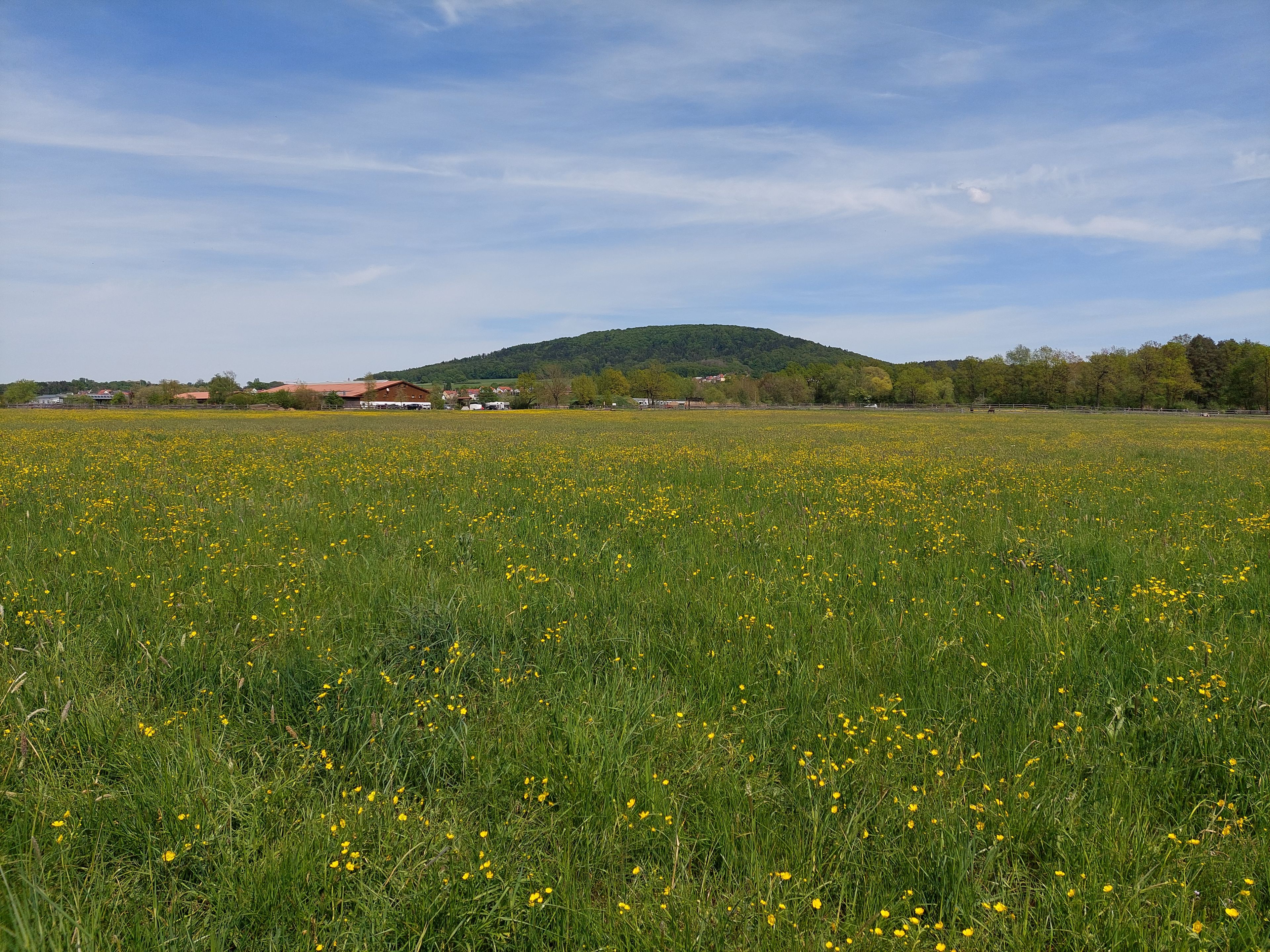 Bild: A.Bitterlich